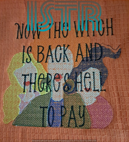 Witch is Back Embroidery Design